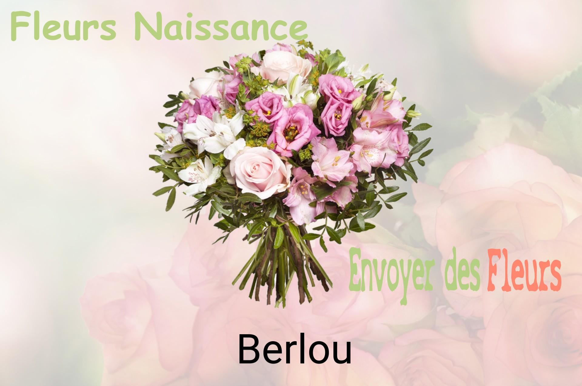 Bouquet de fleurs de naissance livré à Berlou