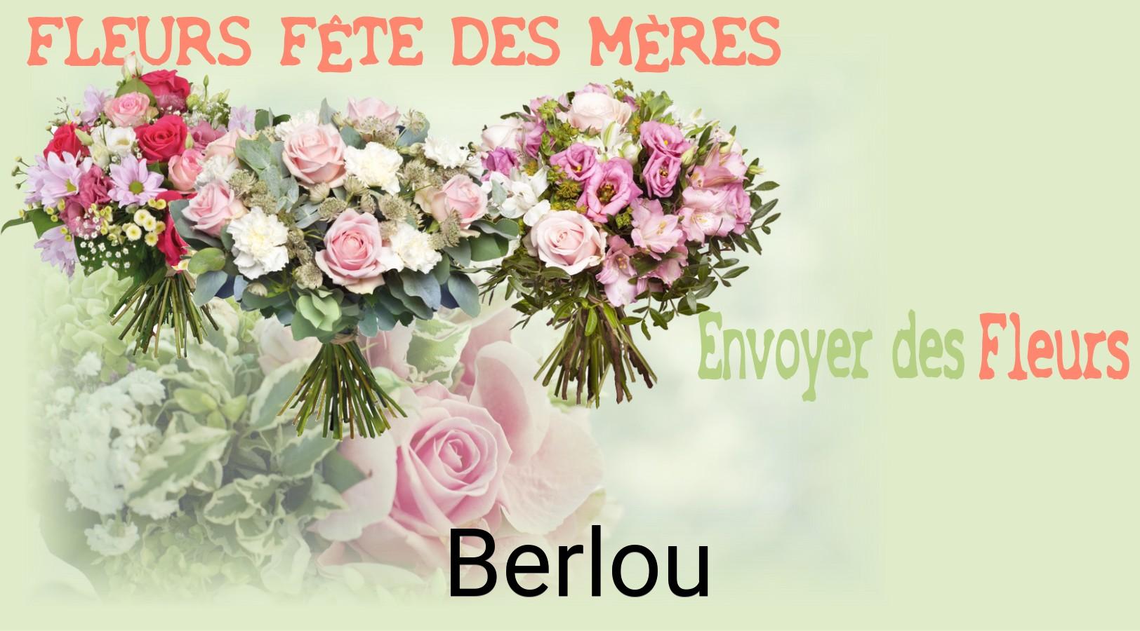 Bouquet de Fête des Mères livré à Berlou